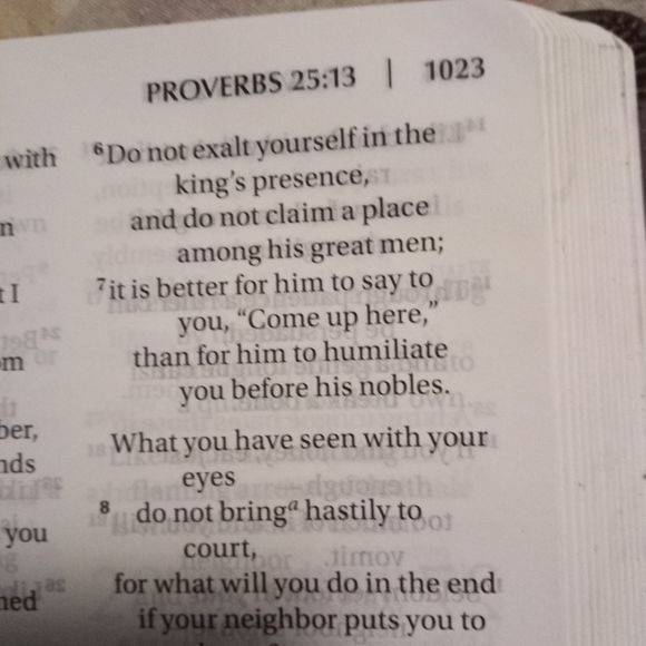 Meet your Posher, Christopher - Picture 1 of 1